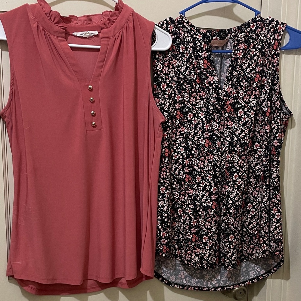 Amiana Pink and Blue Ruffled Blouses with Mandarin Collar